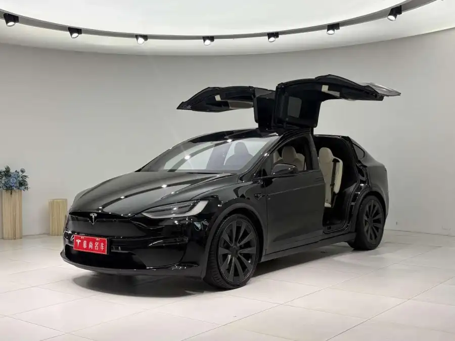 Tesla Model X Dual Motor