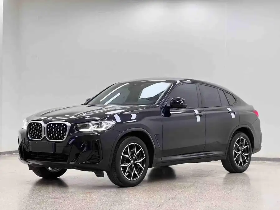 BMW X4 xDrive 25i M