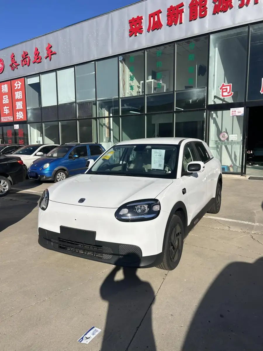 Chery QQ QQ3 EV