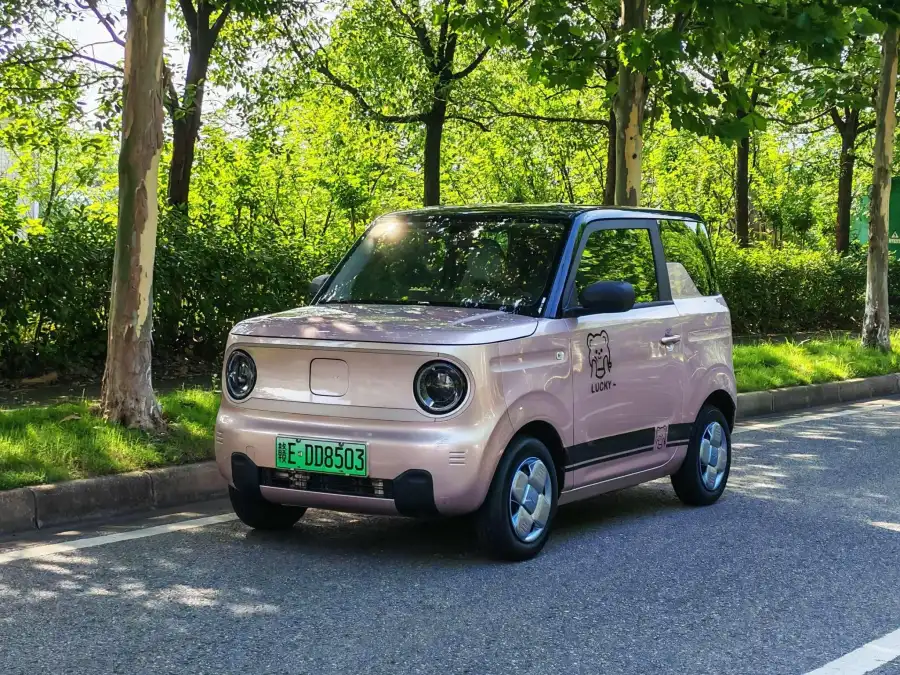 Geely Galaxy Panda 200km mini