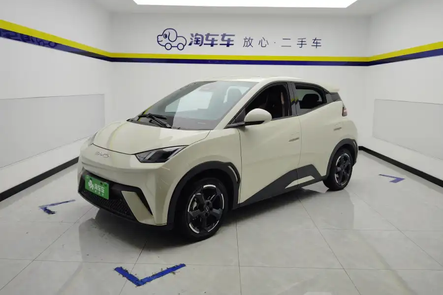 BYD Seagull