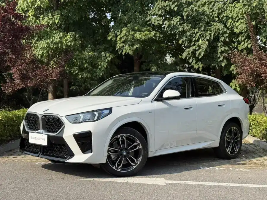BMW X2 (Import) sDrive25i M