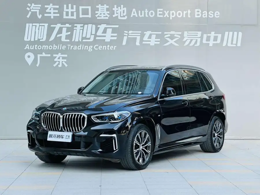 BMW X5 xDrive 30Li M