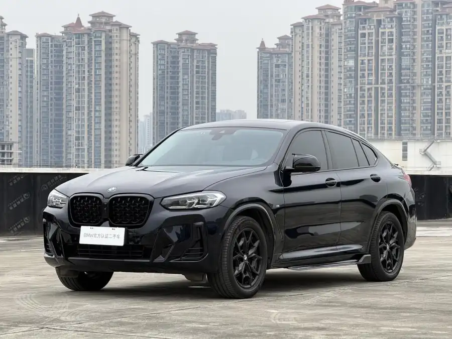 BMW X4 xDrive 25i M