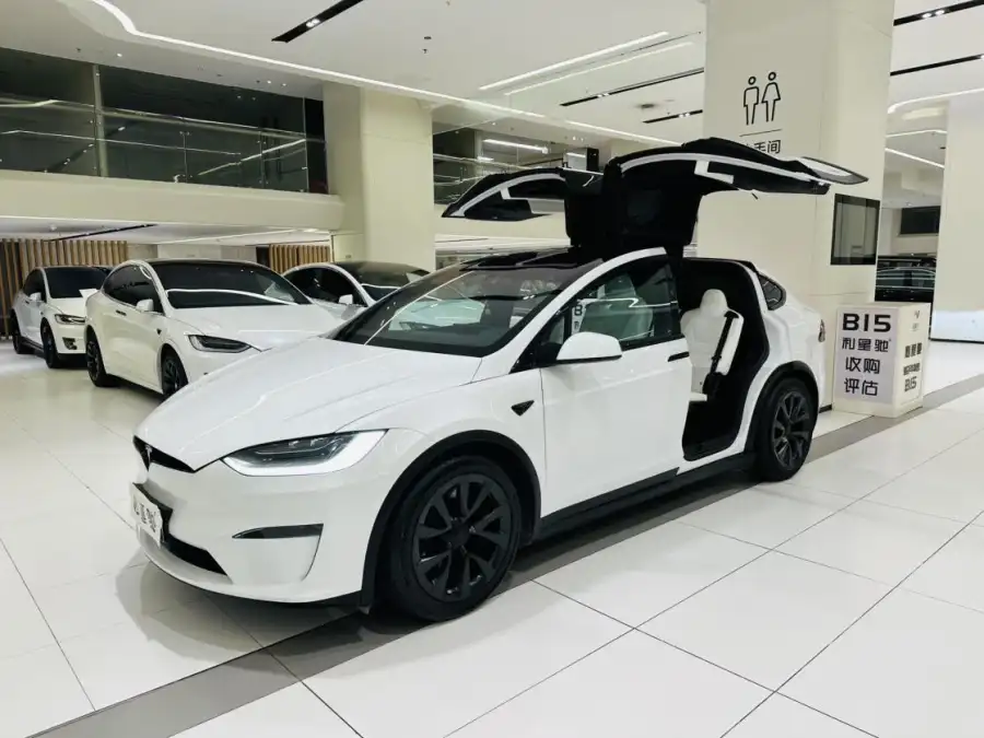 Tesla Model X Dual Motor