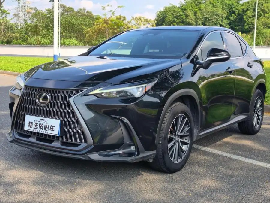 Lexus NX 260 2WD