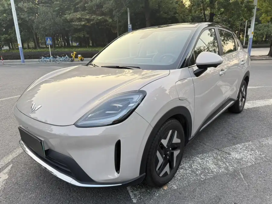 Wuling Bingo S 430km