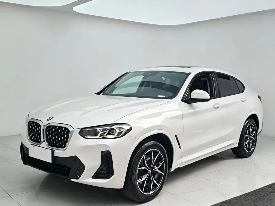 BMW X4 xDrive 25i M