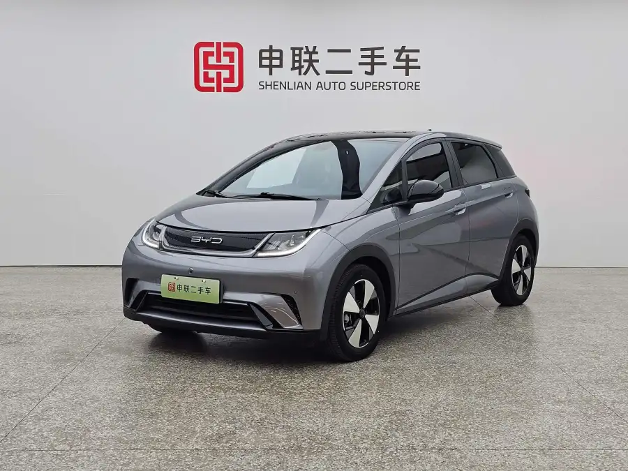 BYD Dolphin Style