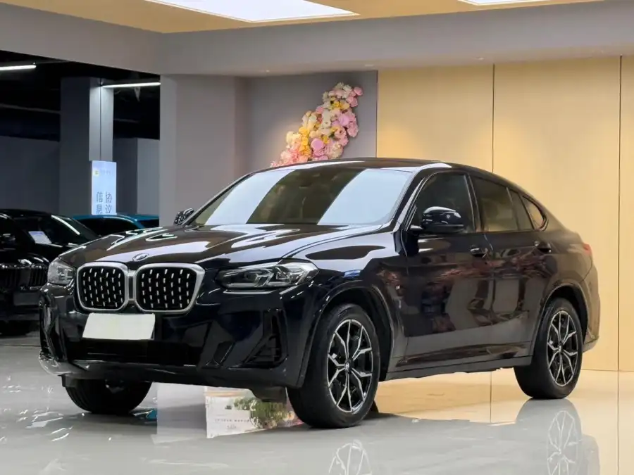 BMW X4 xDrive 25i M