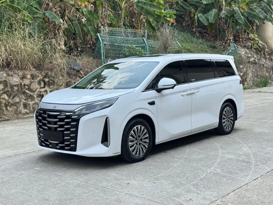 BYD Xia DM-i 100KM Lead