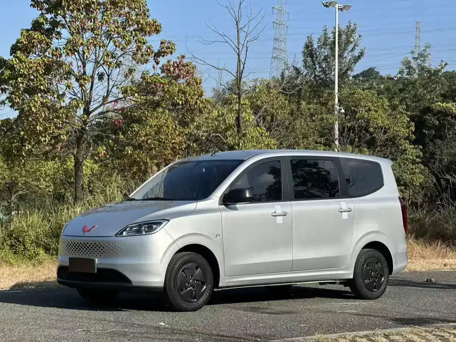 Wuling Hongguang EREV 50KM Comfort