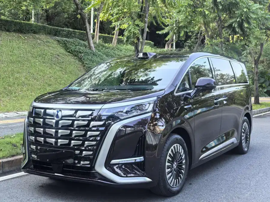 Denza D9 EV Flagship