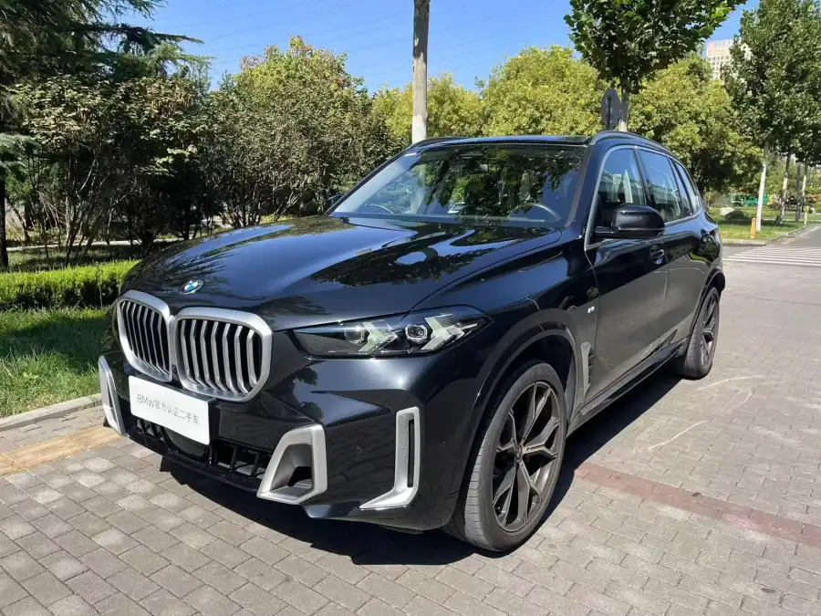 BMW X5 xDrive30Li M