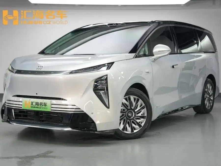 Buick Electra Shijia