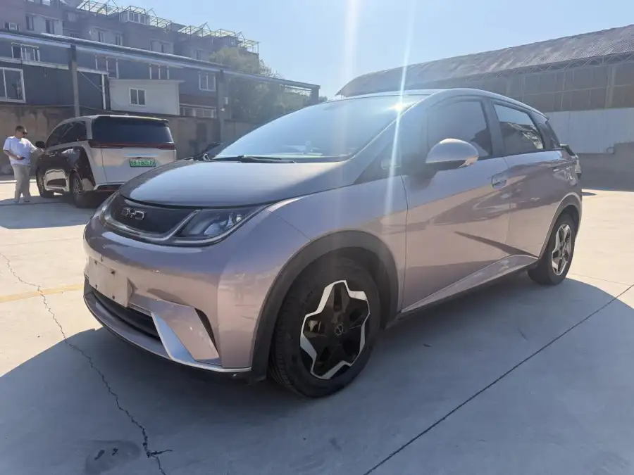 BYD Dolphin Style