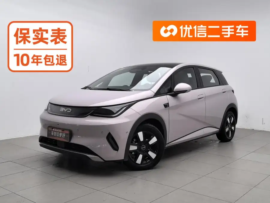 BYD Dolphin 410KM Style