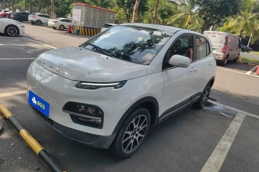 Dayun Yuehu 30.66KWh 2WD