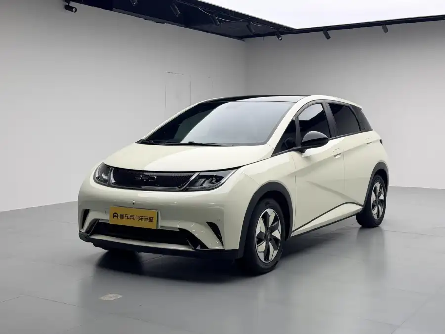 BYD Dolphin 420km Style