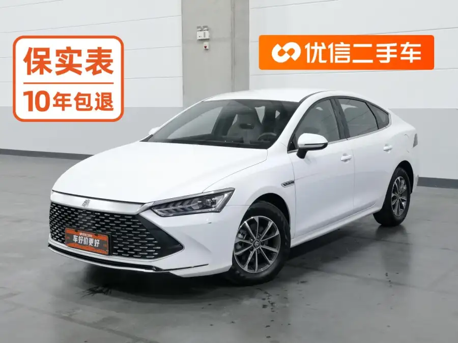 BYD Qin PLUS DM DM-i 55KM Lead