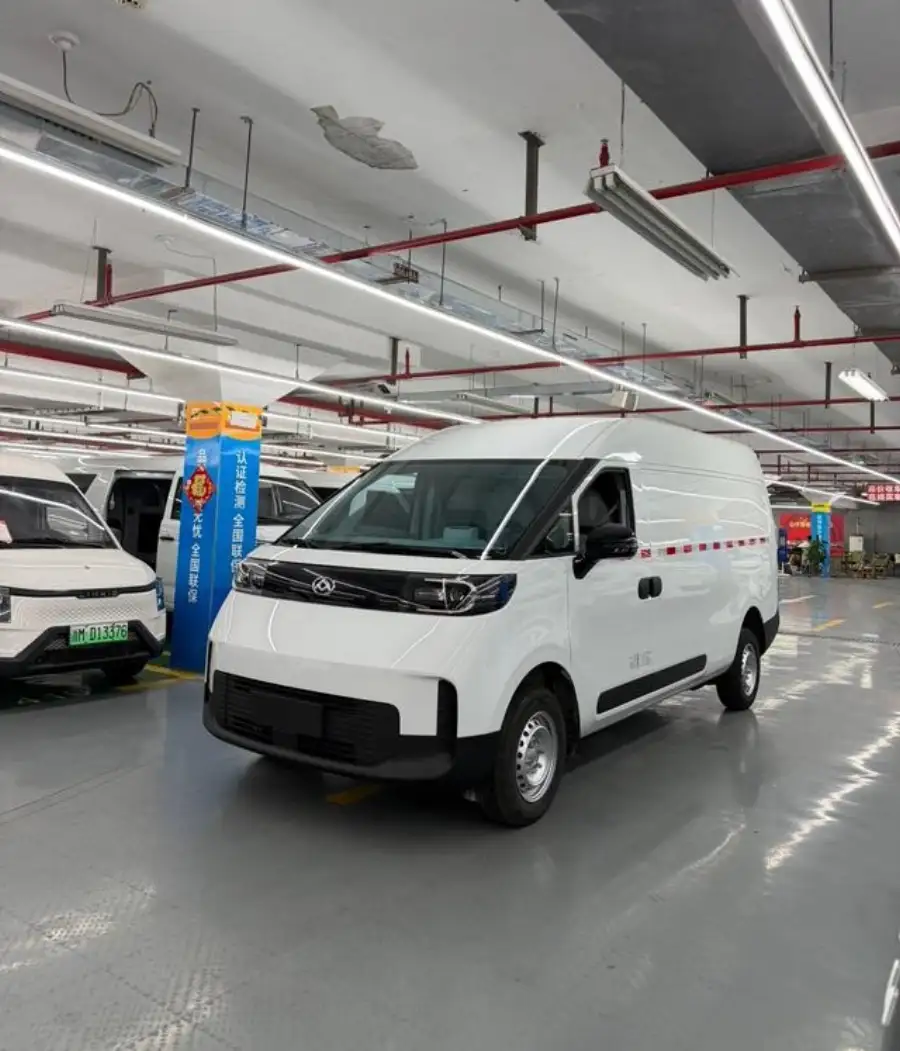 Maxus Dana V1 L
