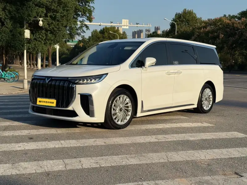 Voyah Dream EV 0