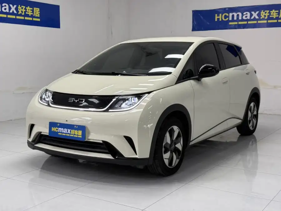 BYD Dolphin 420KM