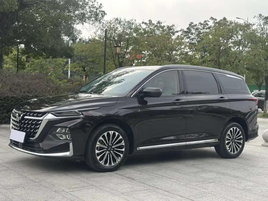 Wuling Victory 2.0L DHT