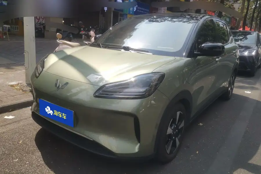 Wuling Bingo PLUS 510km Flagship