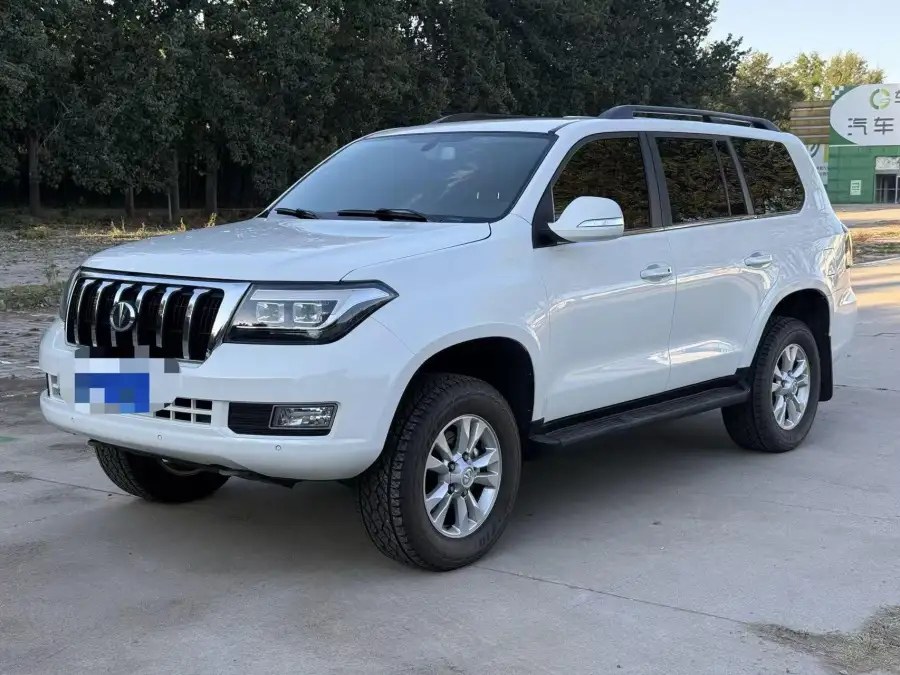 Hengtian L4600 4.6L V8