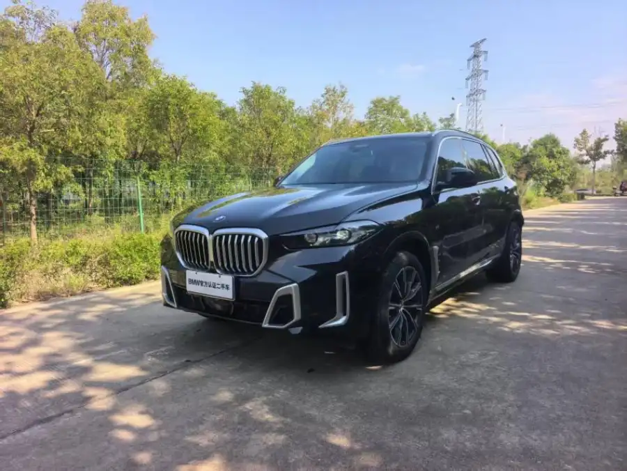 BMW X5 xDrive30Li M