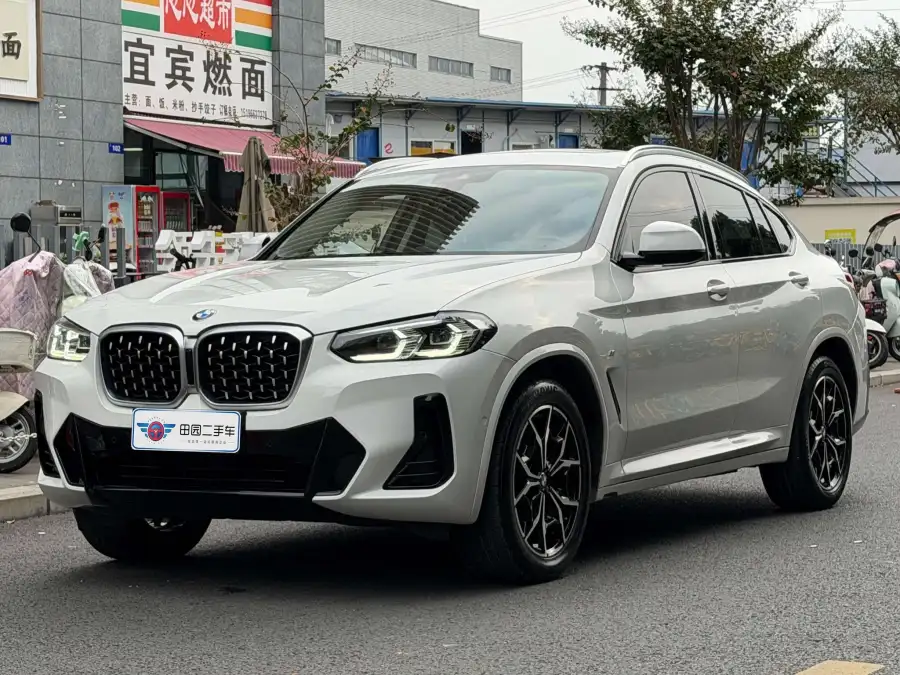 BMW X4 xDrive 25i M
