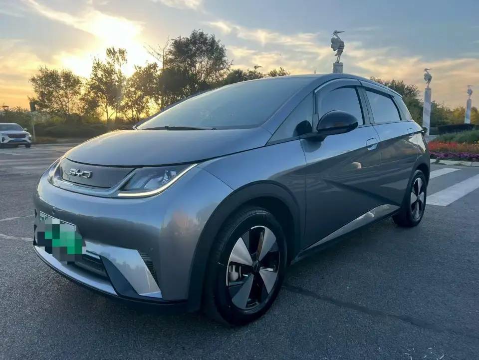 BYD Dolphin 420km
