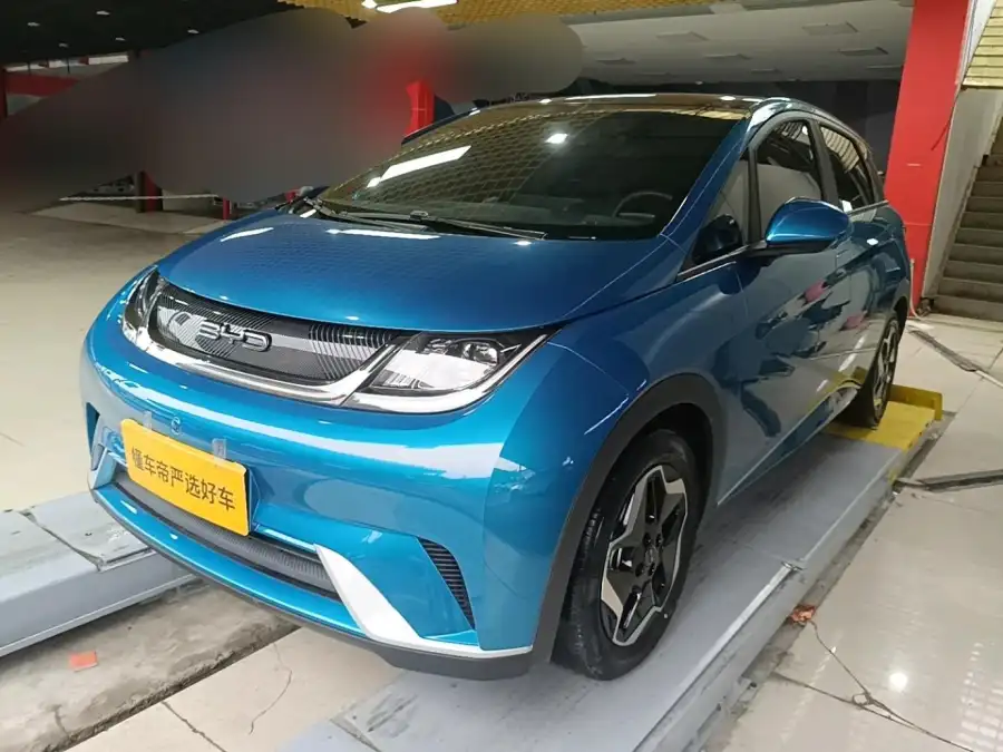 BYD Dolphin Style