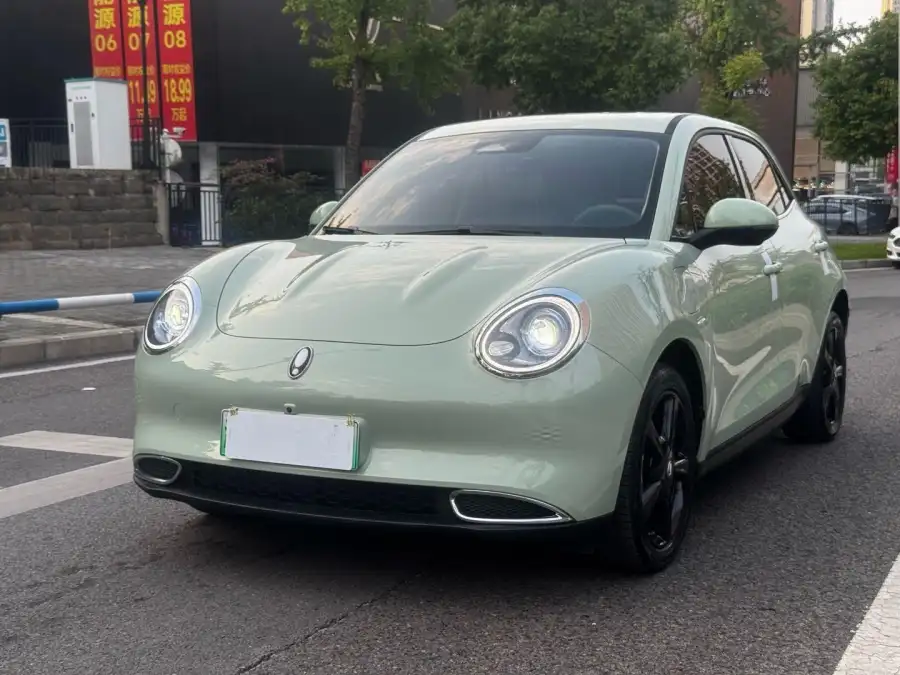 ORA Good Cat 401km Luxury
