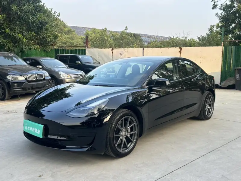Tesla Model 3 RWD 3D1