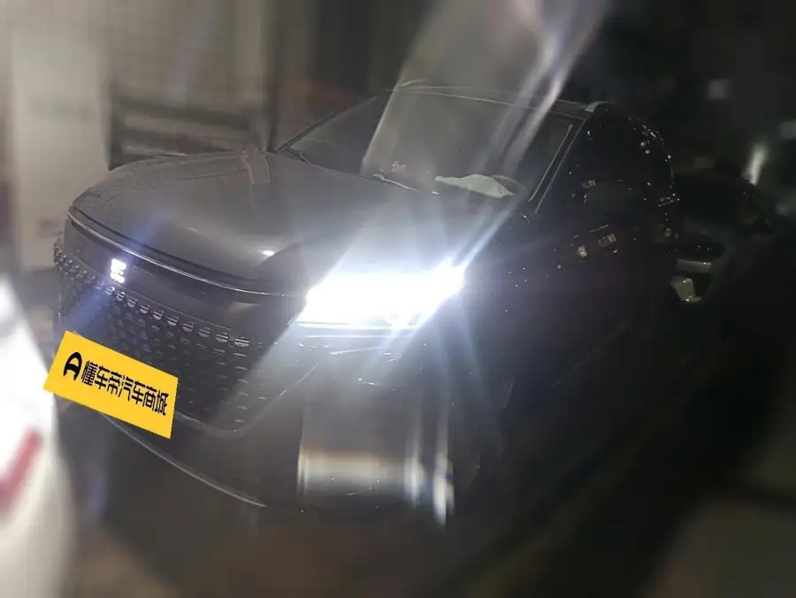 Landian E5 100km 7 мест