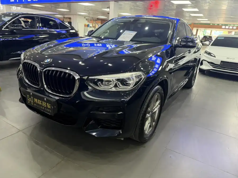 BMW X4 xDrive25i M