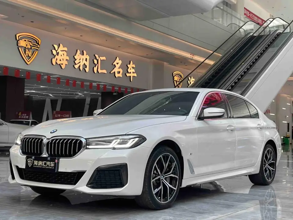 BMW 5 Series 530Li M
