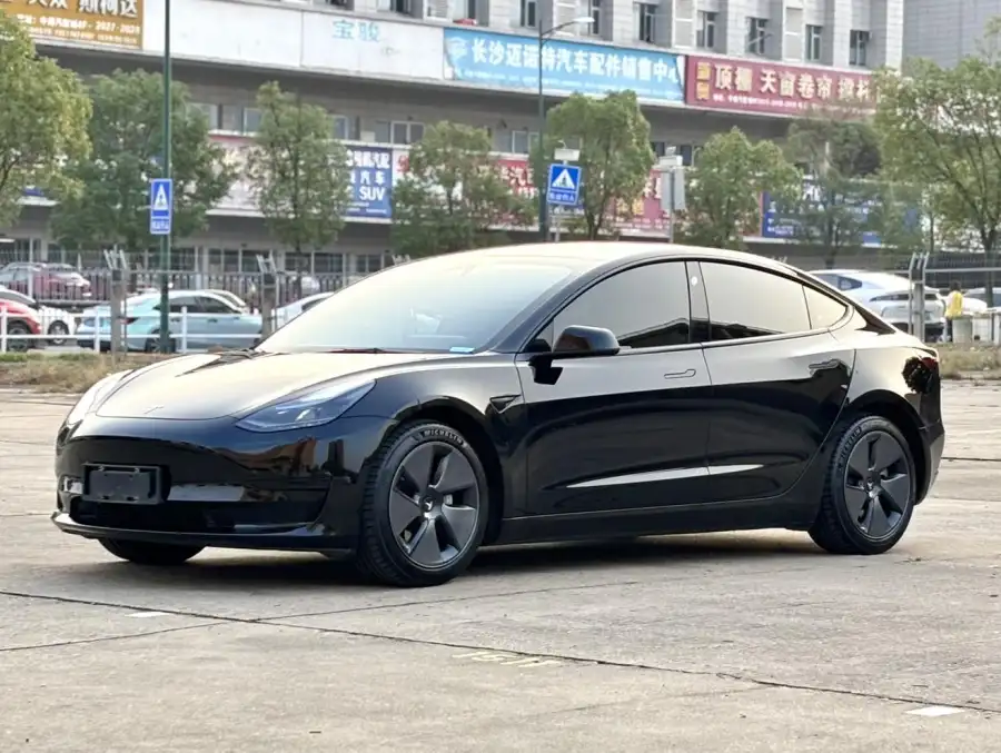 Tesla Model 3 RWD 3D6