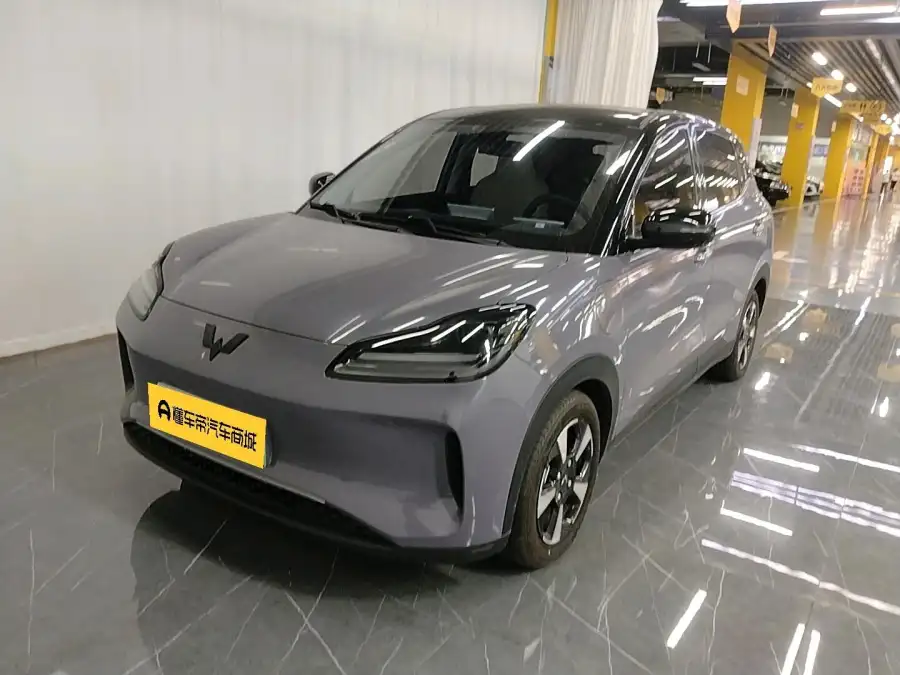 Wuling Bingo PLUS 510km Flagship