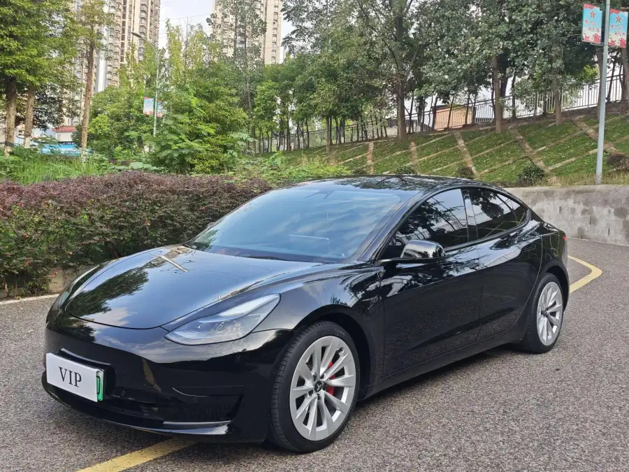 Tesla Model 3 RWD 3D6