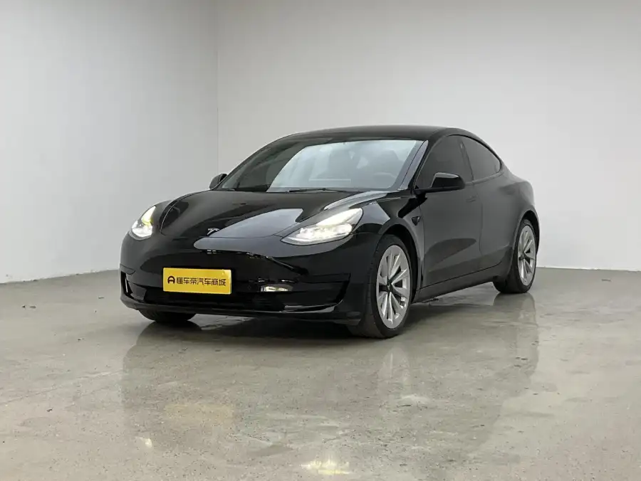 Tesla Model 3 RWD 3D6