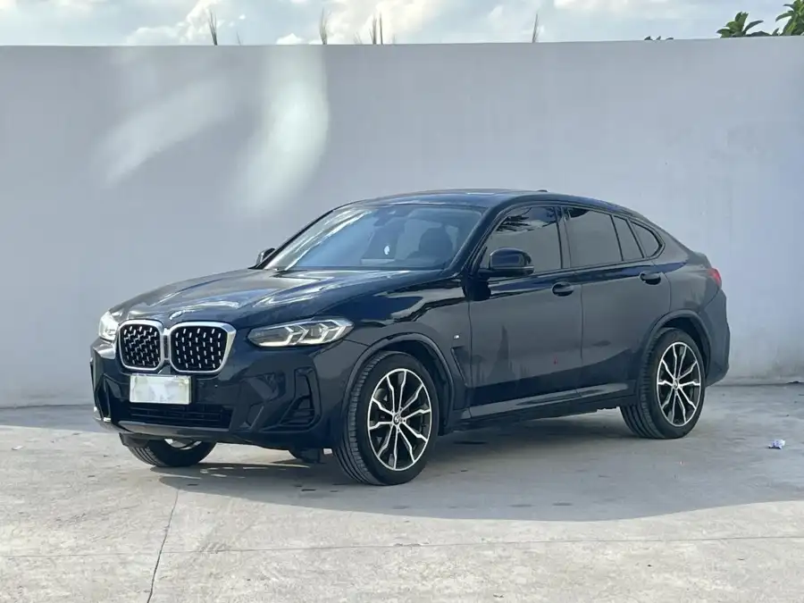 BMW X4 xDrive 30i M