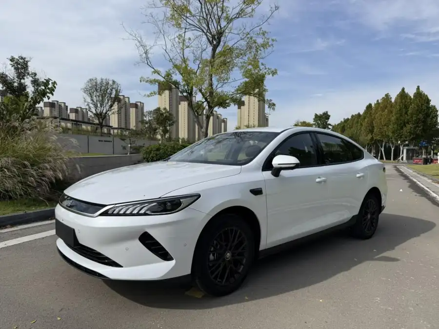BYD Qin Plus EV 420KM Lead