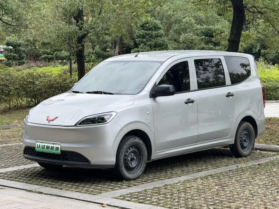 Wuling Hongguang EV 300KM Standard