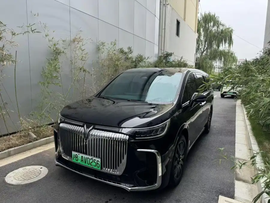 Voyah Dream EV 4WD