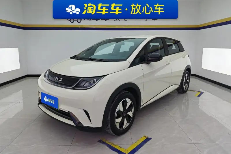 BYD Dolphin 420KM