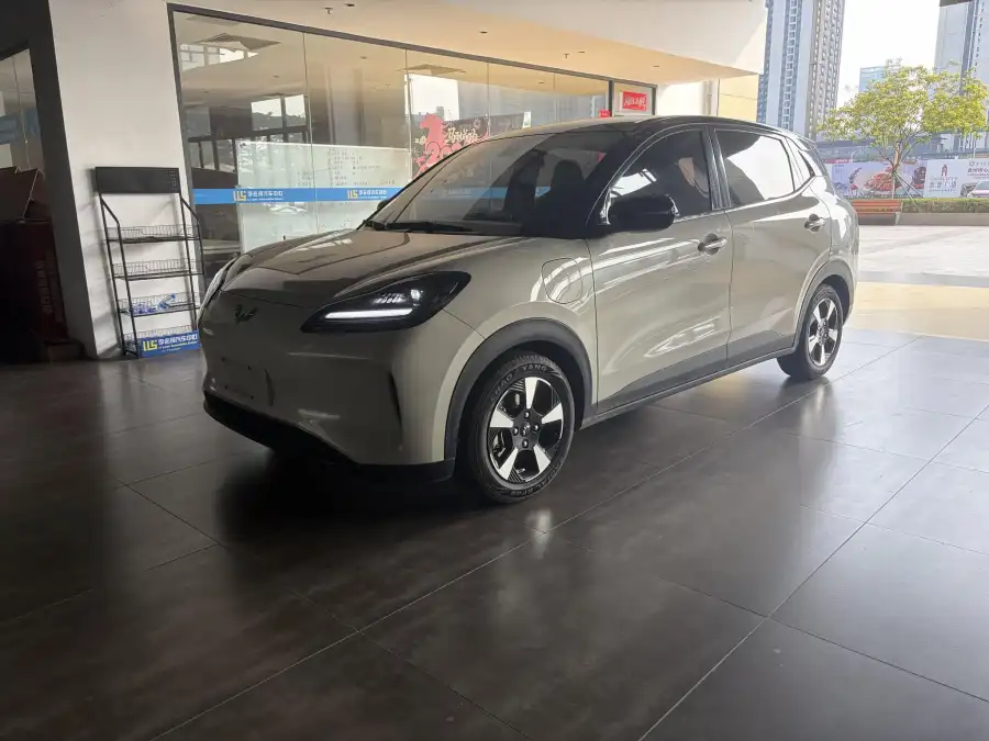 Wuling Bingo PLUS 401km Flagship