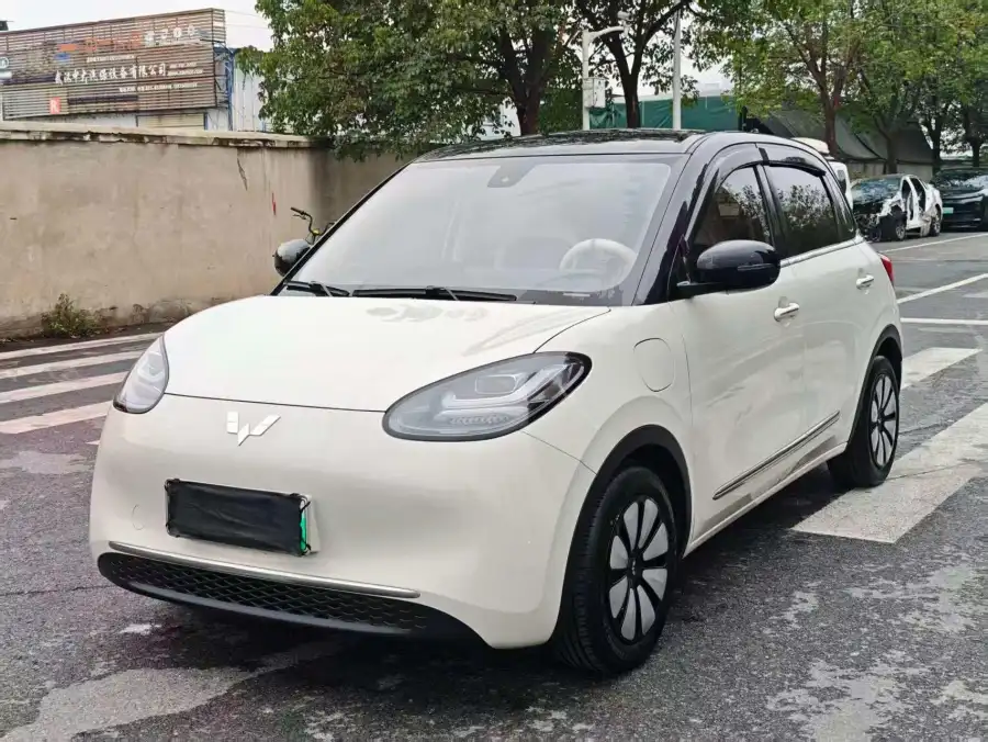 Wuling Bingo 333KM +